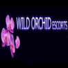Wild Orchid Escorts  London Logo
